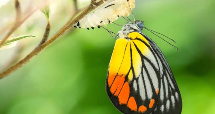 groupe revyva,clinique de réadaptation